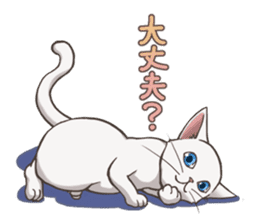 cat white cat sticker #8739875