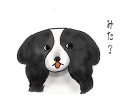Shy -chan sticker #8740323