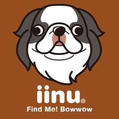 iinu - Chin