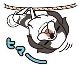 iinu - Chin sticker #8740375
