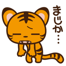 TORAMARU -LITTLE TINY TIGER- sticker #8742257