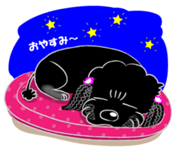 Toy Poodle named Chiroru sticker #8743813