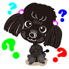 Toy Poodle named Chiroru sticker #8743814