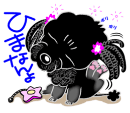 Toy Poodle named Chiroru sticker #8743815