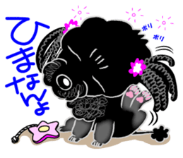 Toy Poodle named Chiroru sticker #8743815