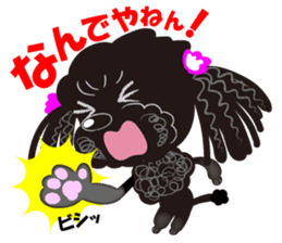 Toy Poodle named Chiroru sticker #8743822