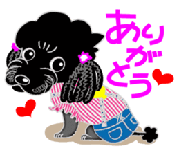 Toy Poodle named Chiroru sticker #8743823