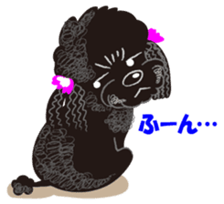 Toy Poodle named Chiroru sticker #8743825
