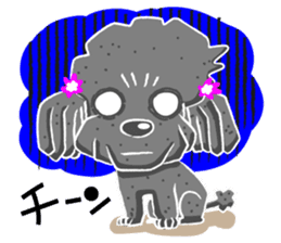 Toy Poodle named Chiroru sticker #8743826