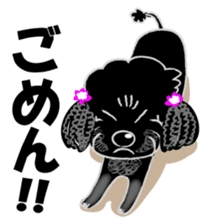 Toy Poodle named Chiroru sticker #8743827