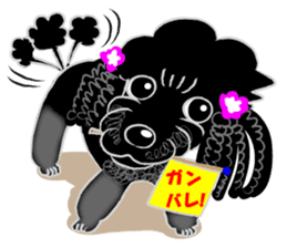 Toy Poodle named Chiroru sticker #8743832
