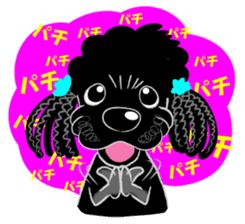 Toy Poodle named Chiroru sticker #8743835