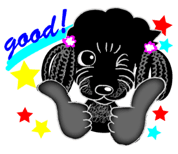 Toy Poodle named Chiroru sticker #8743836