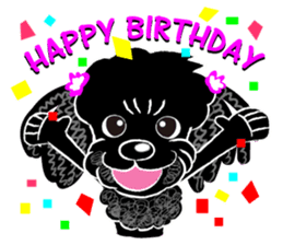 Toy Poodle named Chiroru sticker #8743838