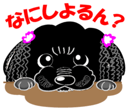 Toy Poodle named Chiroru sticker #8743847