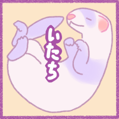 Ferret Stickers3