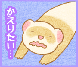 Ferret Stickers3 sticker #8744419