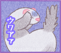 Ferret Stickers3 sticker #8744424
