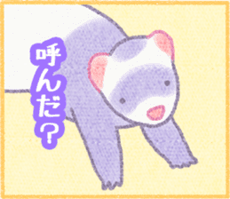 Ferret Stickers3 sticker #8744436