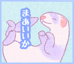 Ferret Stickers3 sticker #8744437