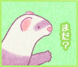 Ferret Stickers3 sticker #8744438
