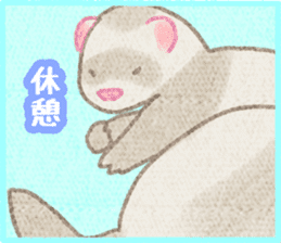 Ferret Stickers3 sticker #8744442