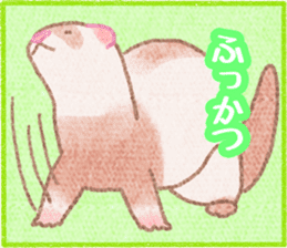 Ferret Stickers3 sticker #8744443