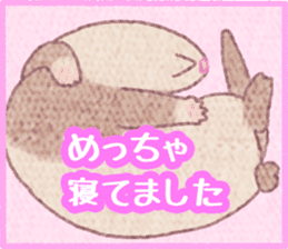 Ferret Stickers3 sticker #8744445