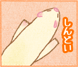 Ferret Stickers3 sticker #8744446