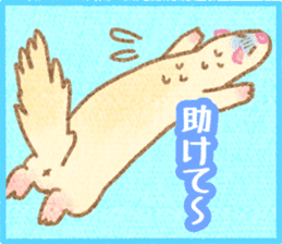 Ferret Stickers3 sticker #8744448