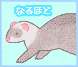 Ferret Stickers3 sticker #8744453
