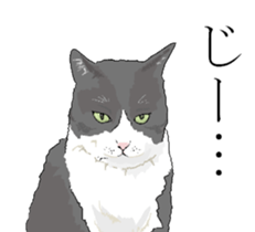 Talkingh Funny Face2 sticker #8747337