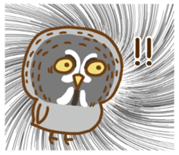 A lot of great grey owl sticker #8747425