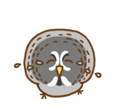 A lot of great grey owl sticker #8747428