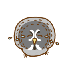 A lot of great grey owl sticker #8747428