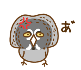 A lot of great grey owl sticker #8747429