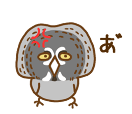 A lot of great grey owl sticker #8747429