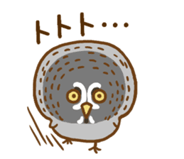 A lot of great grey owl sticker #8747431