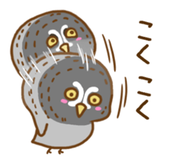 A lot of great grey owl sticker #8747433