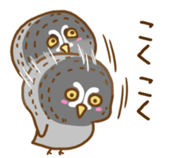 A lot of great grey owl sticker #8747433