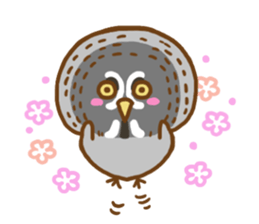 A lot of great grey owl sticker #8747437