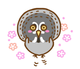 A lot of great grey owl sticker #8747437