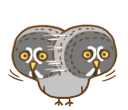 A lot of great grey owl sticker #8747441
