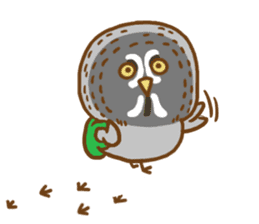 A lot of great grey owl sticker #8747443