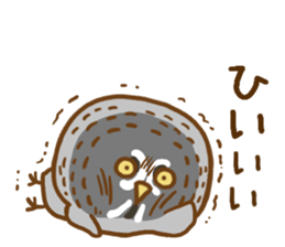 A lot of great grey owl sticker #8747449