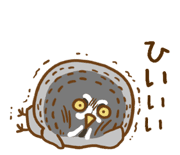 A lot of great grey owl sticker #8747449