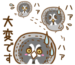 A lot of great grey owl sticker #8747451