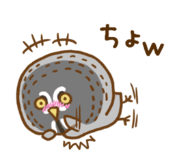 A lot of great grey owl sticker #8747453