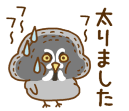 A lot of great grey owl sticker #8747457