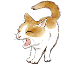 Dream cat 3 sticker #8748109